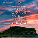 코타제주 이미지