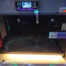 향기 노래연습장 이미지