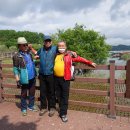 출렁다리 이팝나무길 이미지