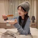 당고를 찾아서 이미지
