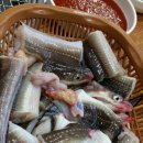 바다장어 이미지