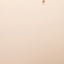 광명늘한의원 이미지