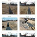 영천중앙초등학교화남분교장 이미지