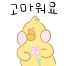 미조대구뽈찜 - 창원시 마산합포구 오동서7길 29-3 | 미조대구뽈찜