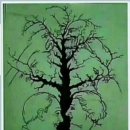 솔향기펜션 이미지