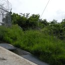 말턱고개 이미지