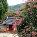 덕천사德川祠 네이버블로그