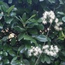 보성공인중개사사무소 이미지