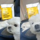 노브랜드버거 김포장기점 이미지