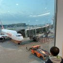 OK아시아마트 | 유아와 함께한 첫 해외 여행기1: 산프레체 히로시마 vs 강원FC 아챔엘 경기 관람! + 일본 에어비앤비 후기