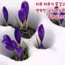 행복한 아침 이미지