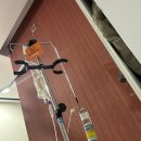 전수의과 동물병원 | [출산~퇴원] 파워J의 일산차병원 제왕절개 입원 일지 (유축기 사용법, 모유수유시간, 일자별 할일 등)