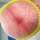 철호농장 이미지