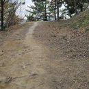 강남정공원 이미지