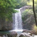 명호 주유소 이미지