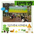 도담소리숲유치원 가을 행사, 2024학년도 8회 자연예술제, 유치원생활 마지막 자연예술제🥲