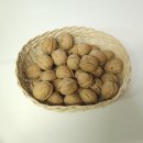 조은농장 | [식품] 건강간식 고민 끝! 알조은호두농장 알호두 리뷰(국산호두·생호두 추천)