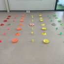 개와 집사의 시간 이미지