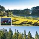 김종연농장 이미지