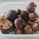 솔잎농장 | 수리아버섯농장 참송이버섯 버섯구이