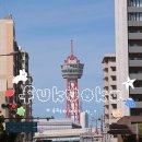 곰식's 카페(by 커피나무) | 후쿠오카 여행 3박4일 자유여행 2탄 하카타 포트타워, 토요이치, 오호리공원, 모모치해변, 후쿠오카타워