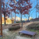 구민운동장(공중) 이미지