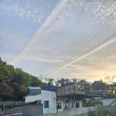 두언 27 | [와온해변 카페] 카페두언 - 애플파이에 차한잔 마시면서 노을 구경하기~