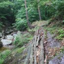 구수골로 이미지