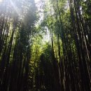 팬더 민박 이미지