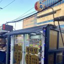 알라딘펫 | 서울 광진 :: 알라딘타로사주 건대 타로 사주 잘 보는 곳 운명 들여다보고 온 후기