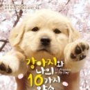 강아지와 나 이미지
