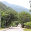 숲속의산책 펜션 이미지