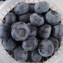 이헌농장 이미지