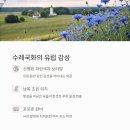 예산목장 이미지