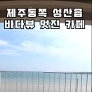 제주도 동쪽 바다뷰 우수 서귀피안 베이커리 카페 크로아상 주문은 필수 이미지