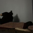 슈퍼타이 이미지