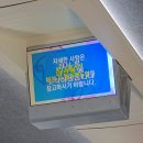 김주일 | 창원nc파크 3월, 8월직관 야구여행 후기 ft. 꼭 먹어야하는 먹거리들