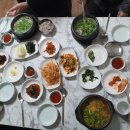 마라도복어 이미지