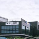 성산흑염소 이미지