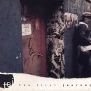 란스테이 이미지