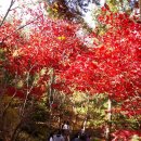 양지고속관광여행사 이미지