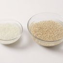 현미도시락 이미지