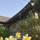 석양이 아름다운집 이미지