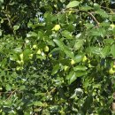 산뜨락펜션 이미지