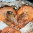 하오츠옛날짬뽕 | 21일 주말 데이트(feat. 속초종합어시장 인계점, 하오츠, 우리꽃식물원, 제부도 나들이, 두꺼비집부대...