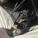 오산수치과의원 | 프로N잡러의 일상.zipp