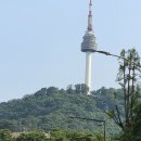 중국요리와 퓨전요리 이미지
