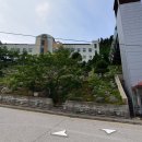 뿌리민박 이미지