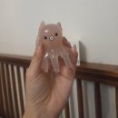 애니바디 - 12586 | 문어 마사지기 두피 바디 마사지 솔직후기｜승모근부터 두피까지 시원하게 풀어주는 괄사 추천