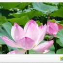 서울대언어논술닥터 이미지